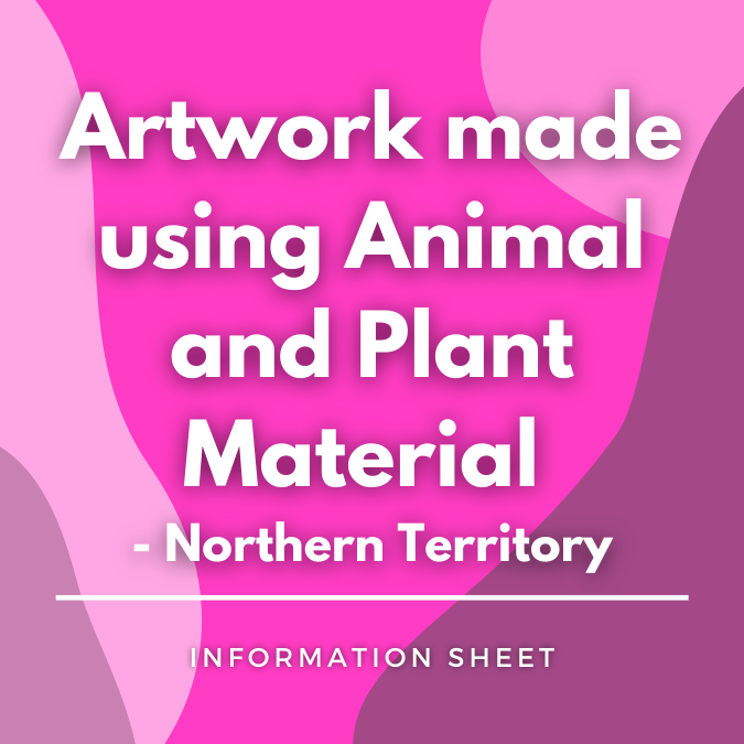 Artwork Made Using Animal and Plant Material - Northern Territory written on a pink, graphic background