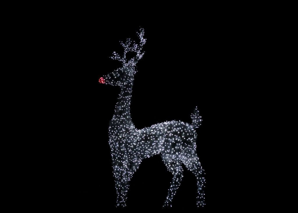 Image of a sparkly reindeer against a black backdrop